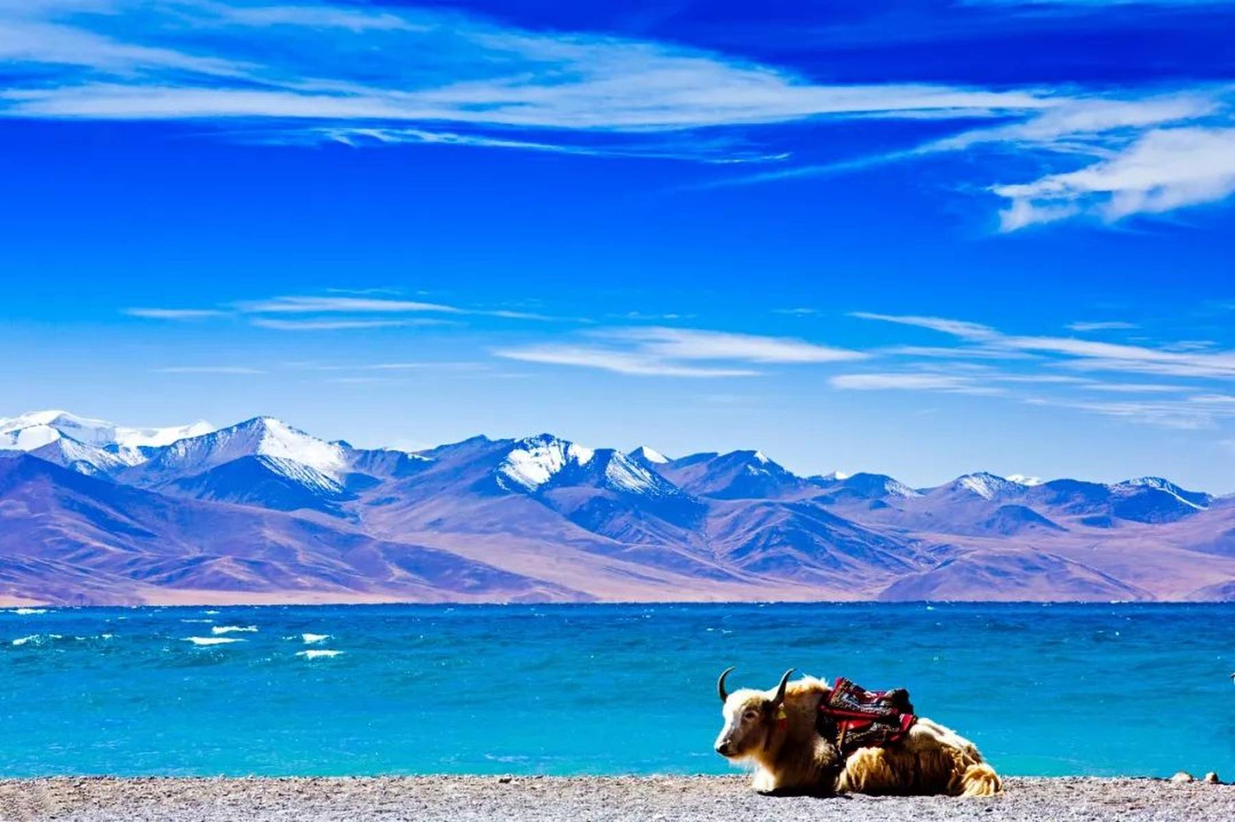 探寻西藏，神秘高原的诱惑与魅力